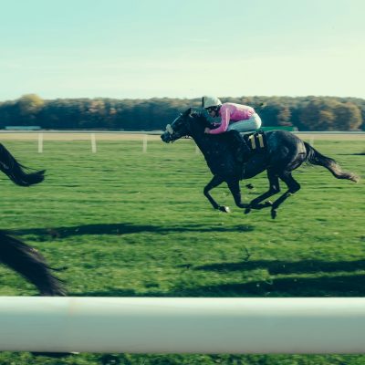 Course hippique 3 - comme une evidence